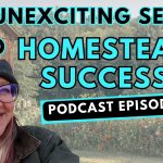 271: The Unexciting Secret to Homestead Success