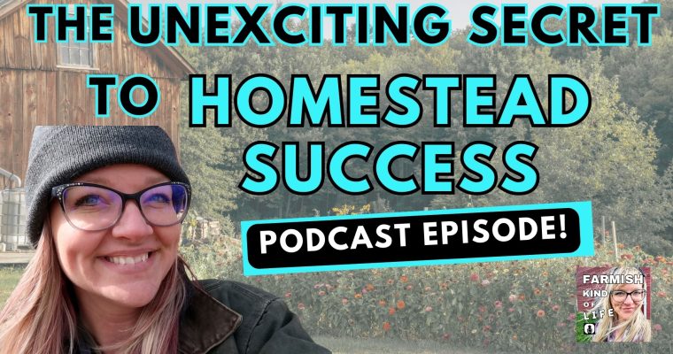 271: The Unexciting Secret to Homestead Success