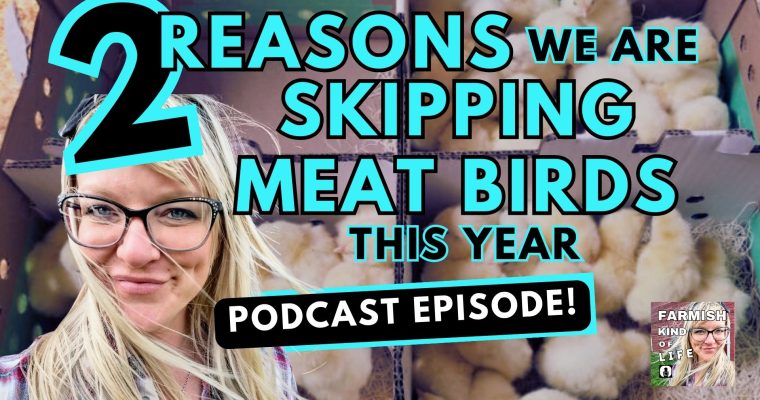 273: Gasp, we’re skipping meat birds this year. But why?