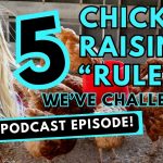 274: Clucking Controversy! 5 Chicken Raising “Rules” We’ve Challenged