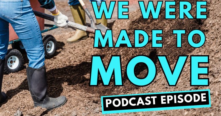 320: We Were Made to Move