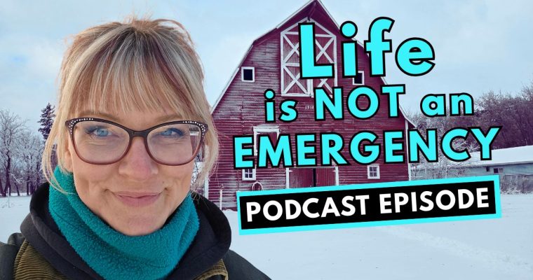 332: Life is NOT an emergency