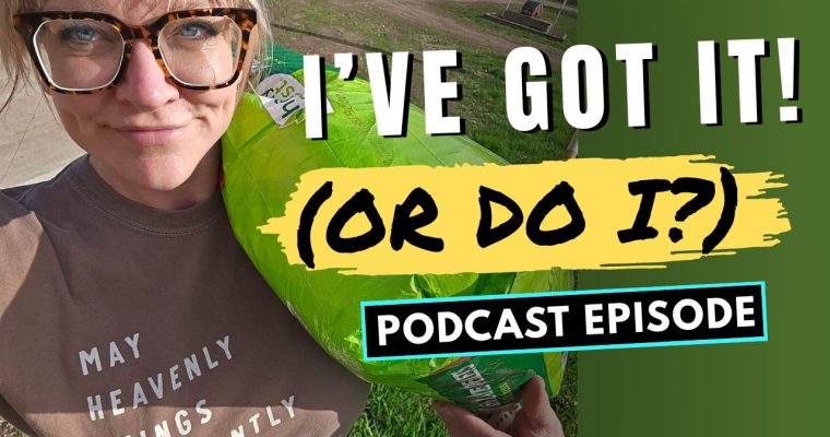 341: Help! I (Apparently) Need Somebody