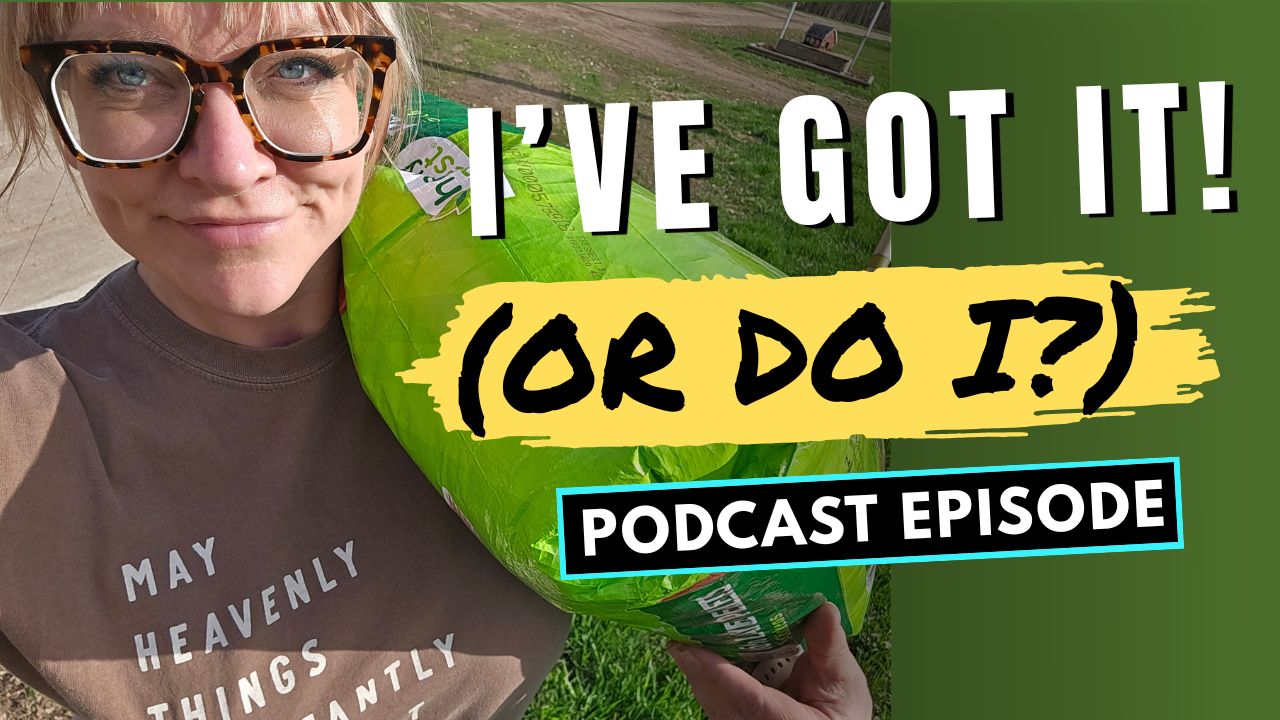 341: Help! I (Apparently) Need Somebody